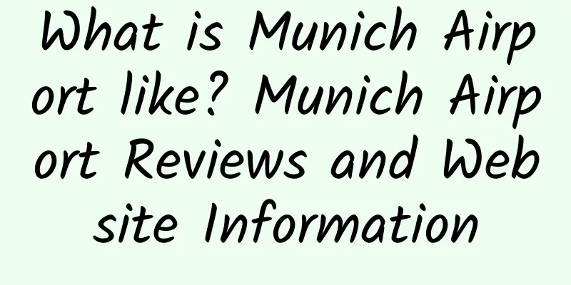 What is Munich Airport like? Munich Airport Reviews and Website Information