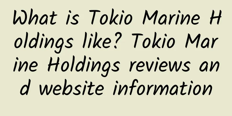 What is Tokio Marine Holdings like? Tokio Marine Holdings reviews and website information