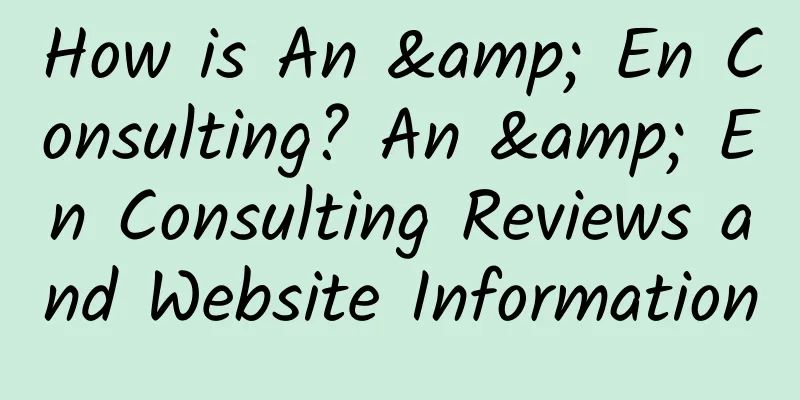 How is An & En Consulting? An & En Consulting Reviews and Website Information