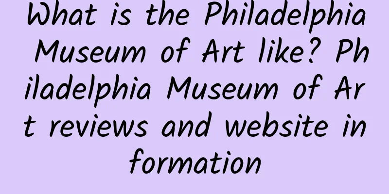 What is the Philadelphia Museum of Art like? Philadelphia Museum of Art reviews and website information