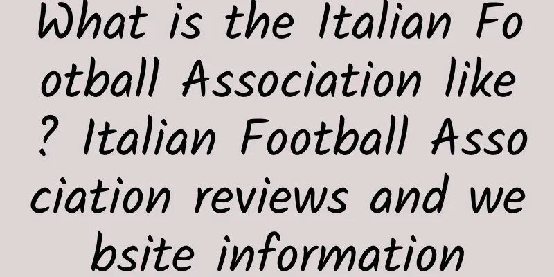 What is the Italian Football Association like? Italian Football Association reviews and website information