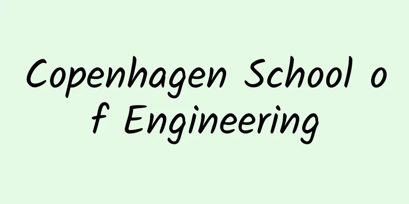 Copenhagen School of Engineering