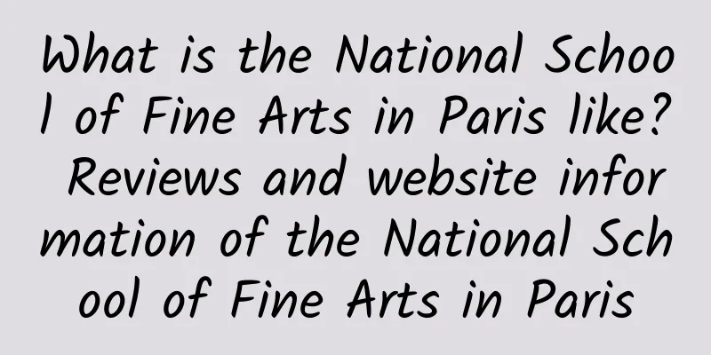 What is the National School of Fine Arts in Paris like? Reviews and website information of the National School of Fine Arts in Paris