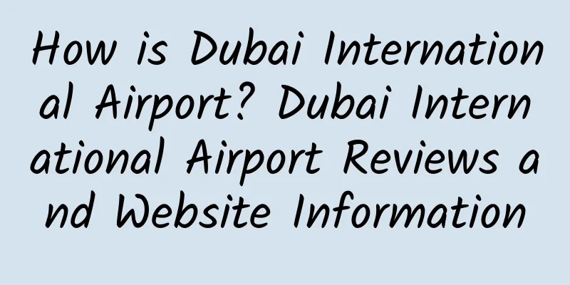 How is Dubai International Airport? Dubai International Airport Reviews and Website Information