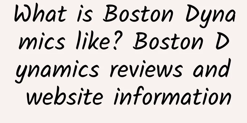 What is Boston Dynamics like? Boston Dynamics reviews and website information