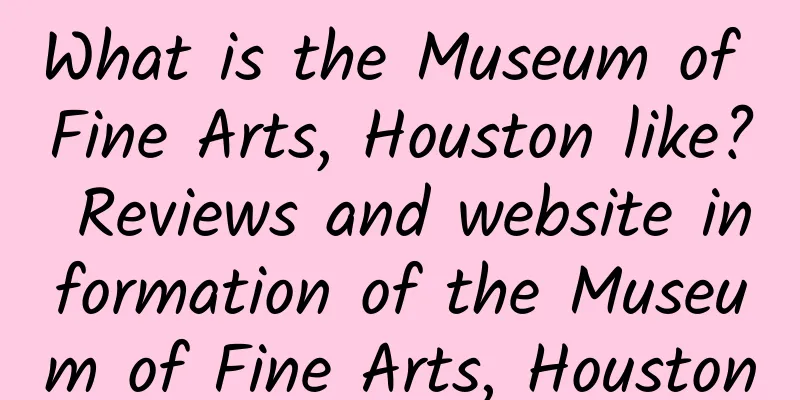 What is the Museum of Fine Arts, Houston like? Reviews and website information of the Museum of Fine Arts, Houston