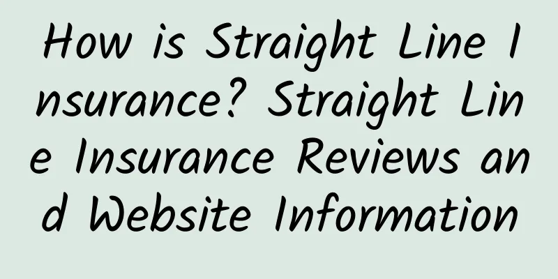 How is Straight Line Insurance? Straight Line Insurance Reviews and Website Information