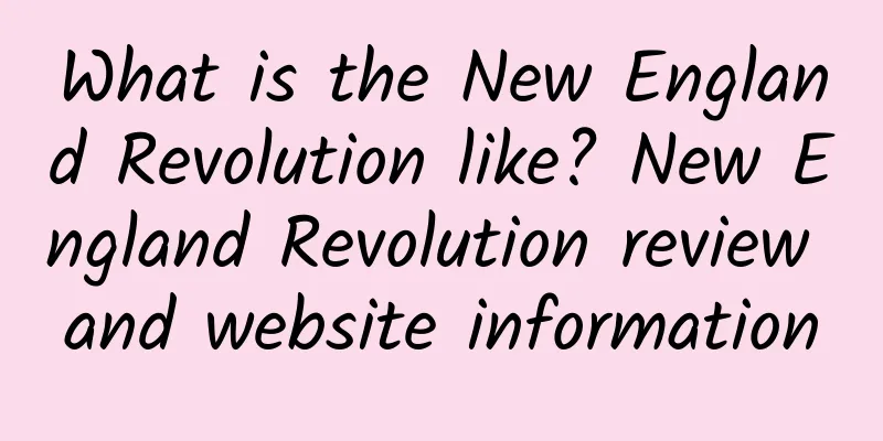What is the New England Revolution like? New England Revolution review and website information