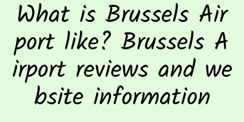 What is Brussels Airport like? Brussels Airport reviews and website information