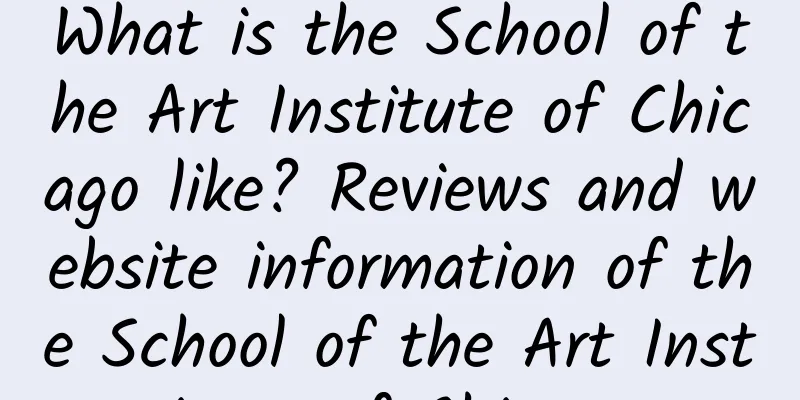 What is the School of the Art Institute of Chicago like? Reviews and website information of the School of the Art Institute of Chicago