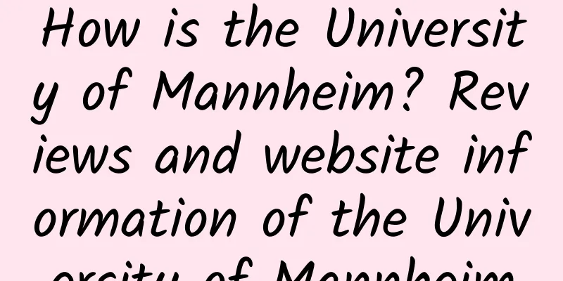 How is the University of Mannheim? Reviews and website information of the University of Mannheim