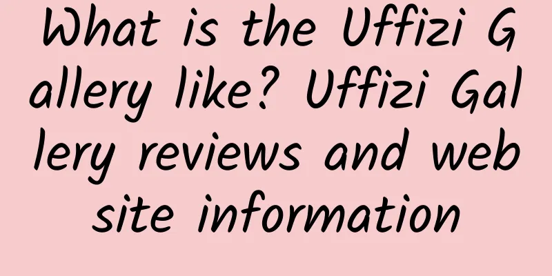 What is the Uffizi Gallery like? Uffizi Gallery reviews and website information