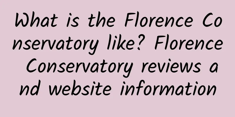 What is the Florence Conservatory like? Florence Conservatory reviews and website information