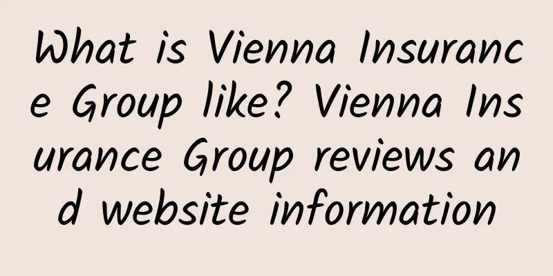 What is Vienna Insurance Group like? Vienna Insurance Group reviews and website information
