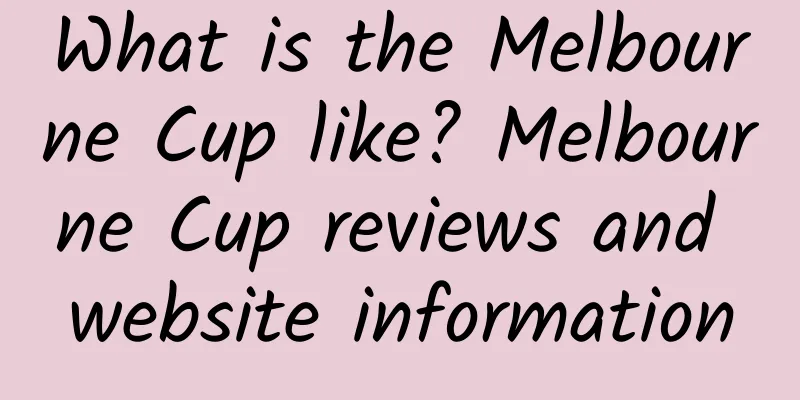 What is the Melbourne Cup like? Melbourne Cup reviews and website information