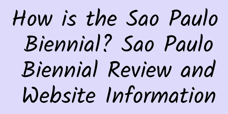 How is the Sao Paulo Biennial? Sao Paulo Biennial Review and Website Information
