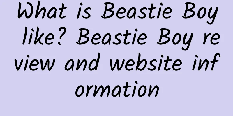 What is Beastie Boy like? Beastie Boy review and website information