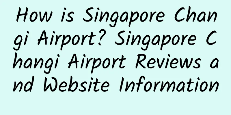 How is Singapore Changi Airport? Singapore Changi Airport Reviews and Website Information