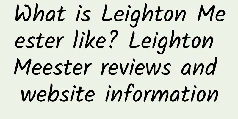 What is Leighton Meester like? Leighton Meester reviews and website information
