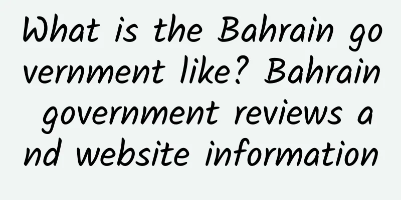 What is the Bahrain government like? Bahrain government reviews and website information