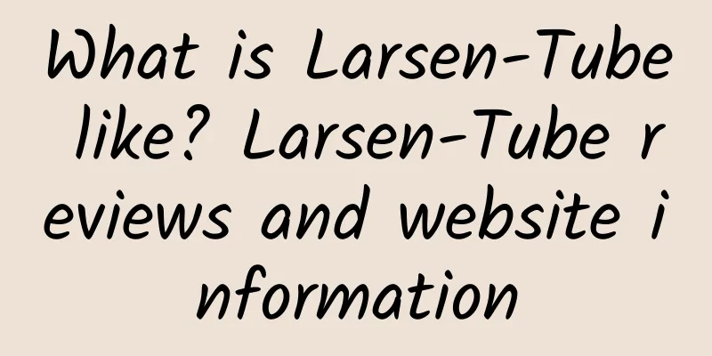 What is Larsen-Tube like? Larsen-Tube reviews and website information