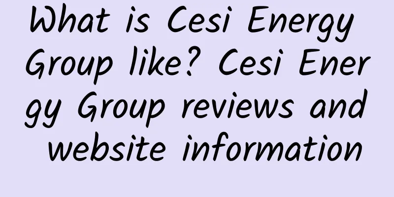 What is Cesi Energy Group like? Cesi Energy Group reviews and website information