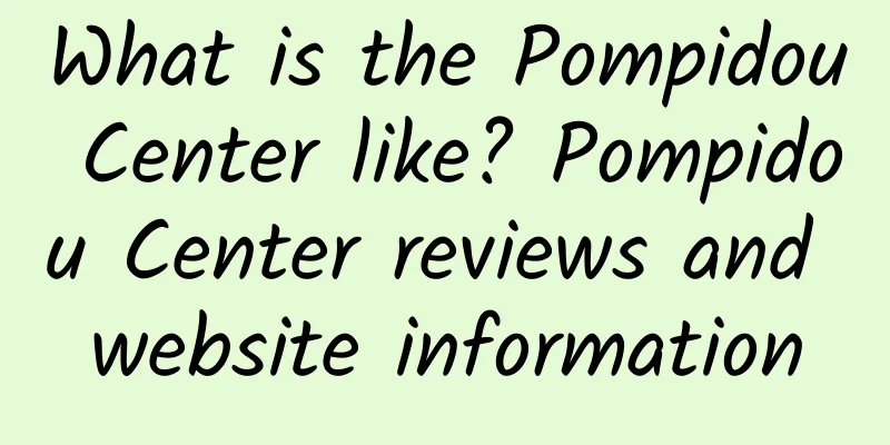 What is the Pompidou Center like? Pompidou Center reviews and website information