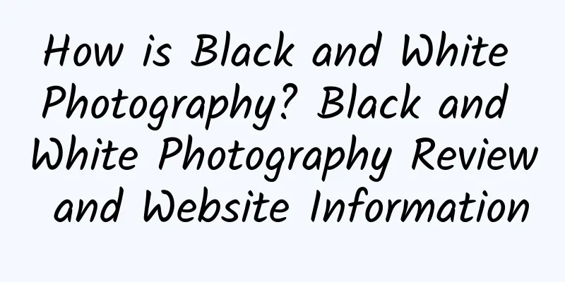 How is Black and White Photography? Black and White Photography Review and Website Information