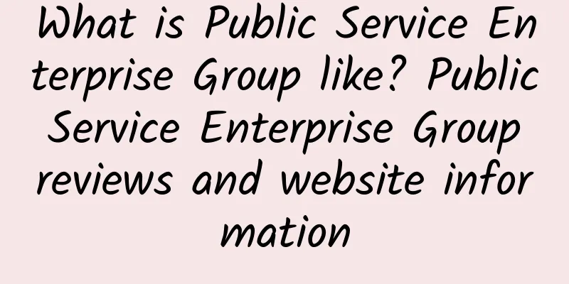 What is Public Service Enterprise Group like? Public Service Enterprise Group reviews and website information