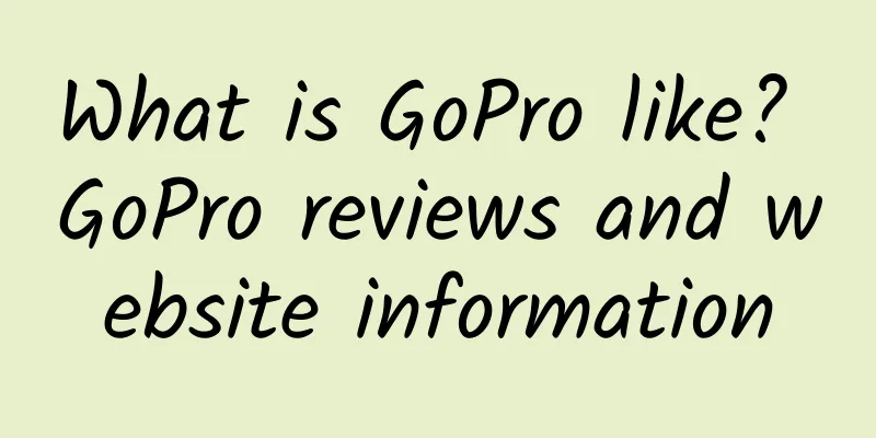 What is GoPro like? GoPro reviews and website information