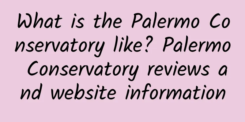 What is the Palermo Conservatory like? Palermo Conservatory reviews and website information