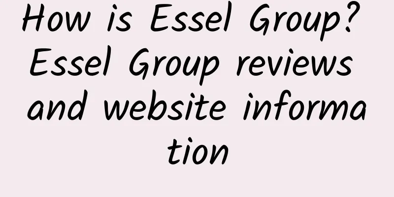How is Essel Group? Essel Group reviews and website information
