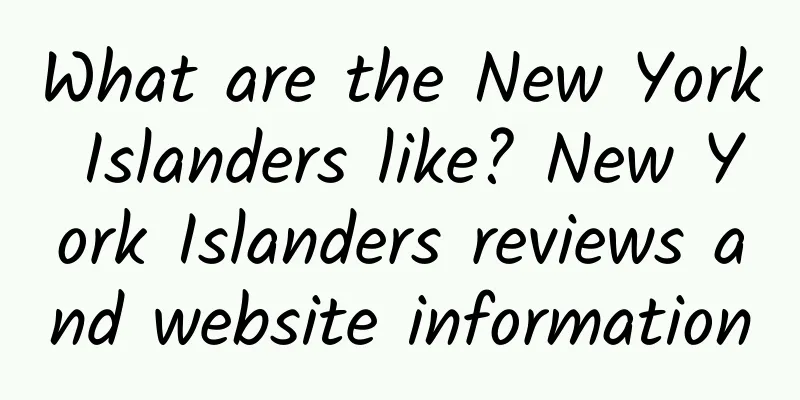 What are the New York Islanders like? New York Islanders reviews and website information