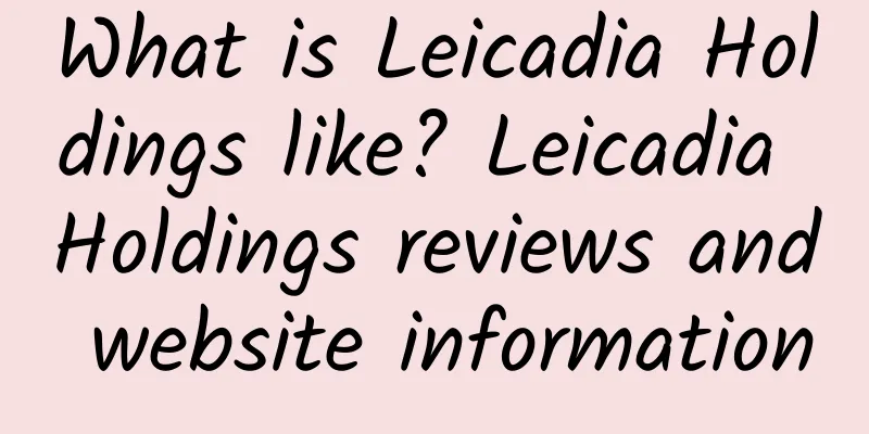 What is Leicadia Holdings like? Leicadia Holdings reviews and website information