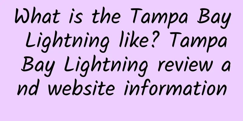 What is the Tampa Bay Lightning like? Tampa Bay Lightning review and website information