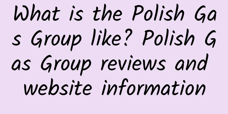 What is the Polish Gas Group like? Polish Gas Group reviews and website information