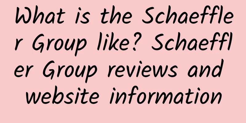 What is the Schaeffler Group like? Schaeffler Group reviews and website information