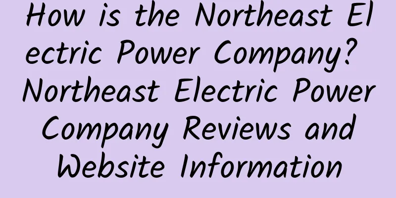 How is the Northeast Electric Power Company? Northeast Electric Power Company Reviews and Website Information