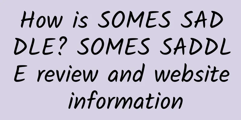 How is SOMES SADDLE? SOMES SADDLE review and website information