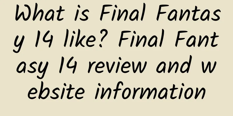 What is Final Fantasy 14 like? Final Fantasy 14 review and website information