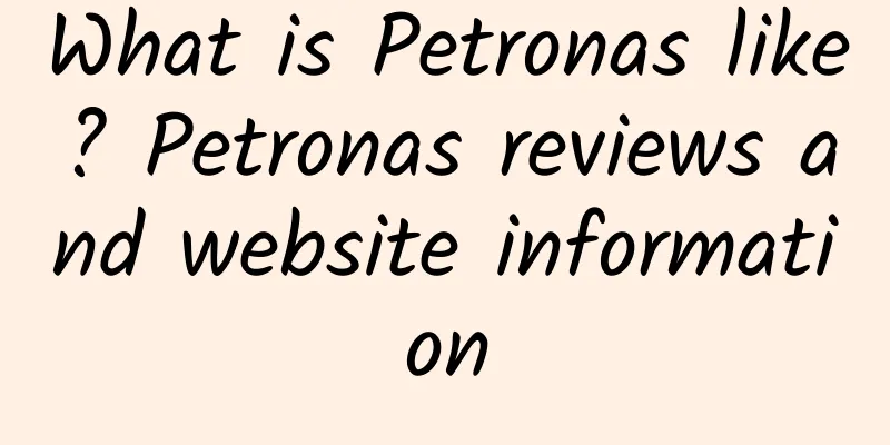 What is Petronas like? Petronas reviews and website information