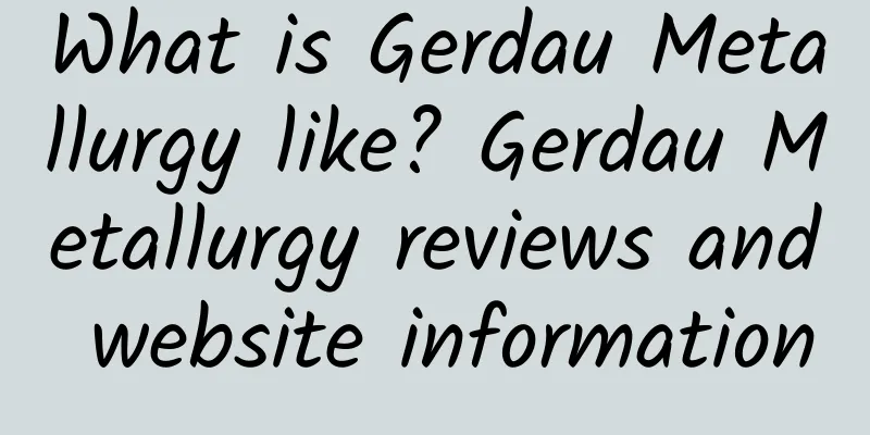 What is Gerdau Metallurgy like? Gerdau Metallurgy reviews and website information