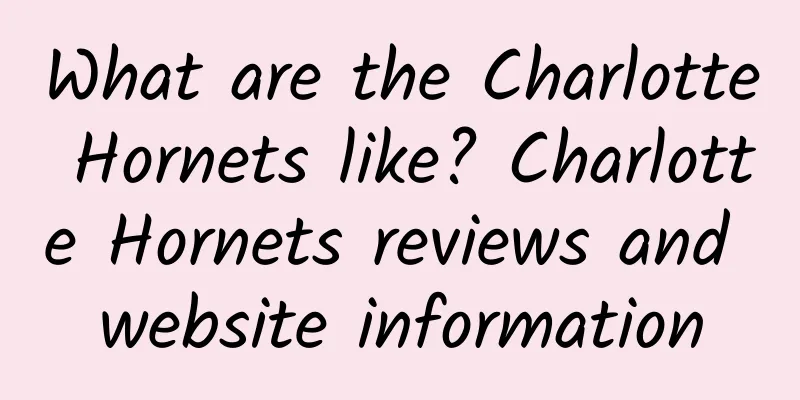 What are the Charlotte Hornets like? Charlotte Hornets reviews and website information