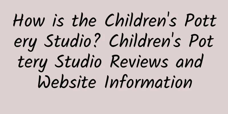 How is the Children's Pottery Studio? Children's Pottery Studio Reviews and Website Information