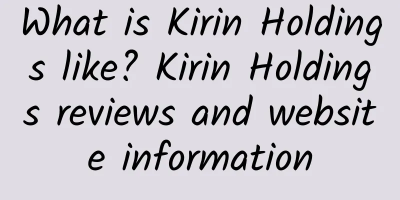 What is Kirin Holdings like? Kirin Holdings reviews and website information