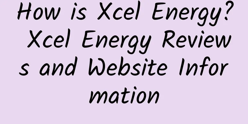 How is Xcel Energy? Xcel Energy Reviews and Website Information