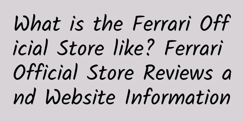 What is the Ferrari Official Store like? Ferrari Official Store Reviews and Website Information