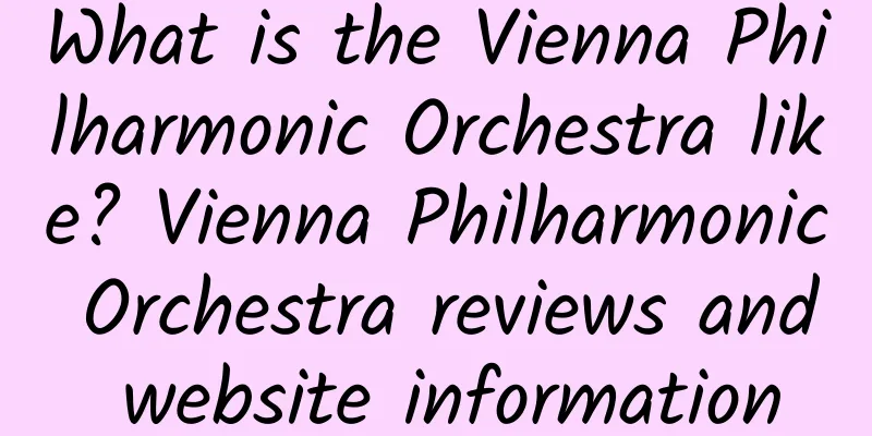 What is the Vienna Philharmonic Orchestra like? Vienna Philharmonic Orchestra reviews and website information