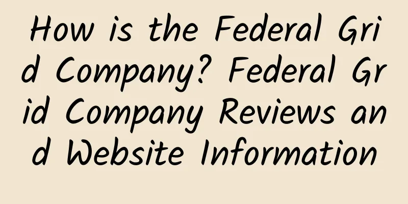 How is the Federal Grid Company? Federal Grid Company Reviews and Website Information