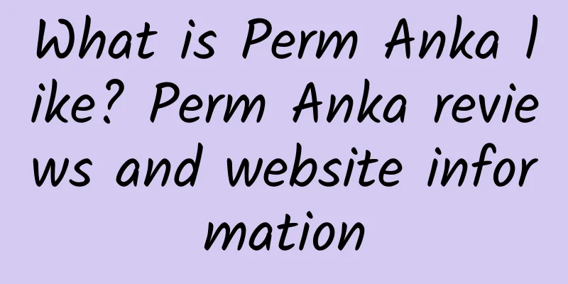 What is Perm Anka like? Perm Anka reviews and website information